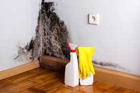 Best Attic Mold Removal  in Central Heights Midland City, AZ